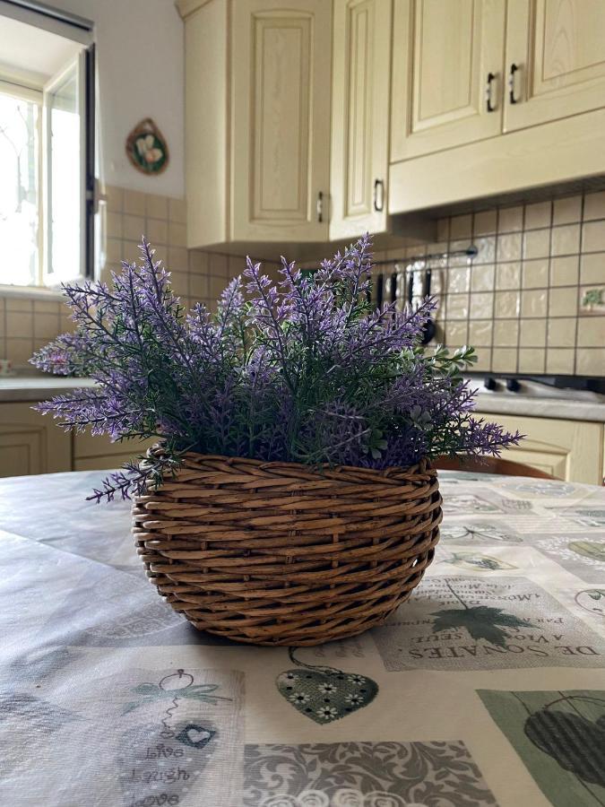 Apartmán Giardino Sul Mare Amalfi Exteriér fotografie