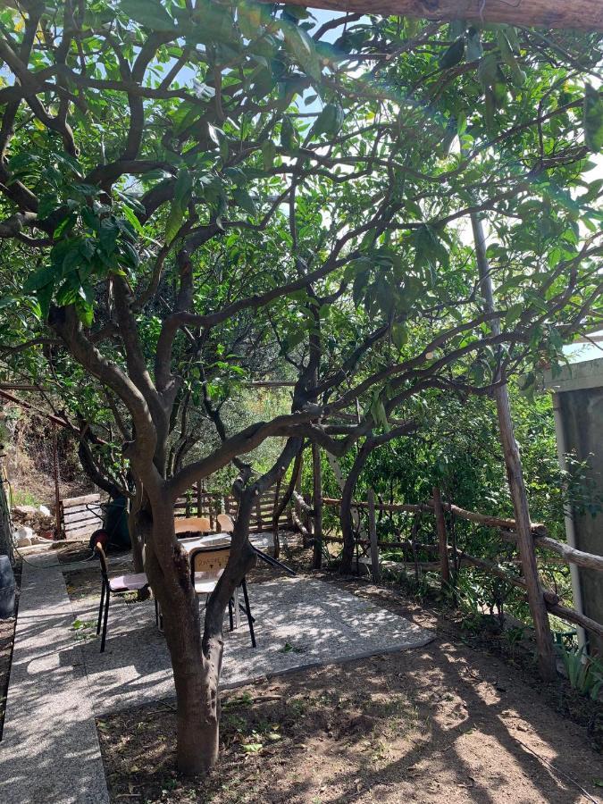 Apartmán Giardino Sul Mare Amalfi Exteriér fotografie