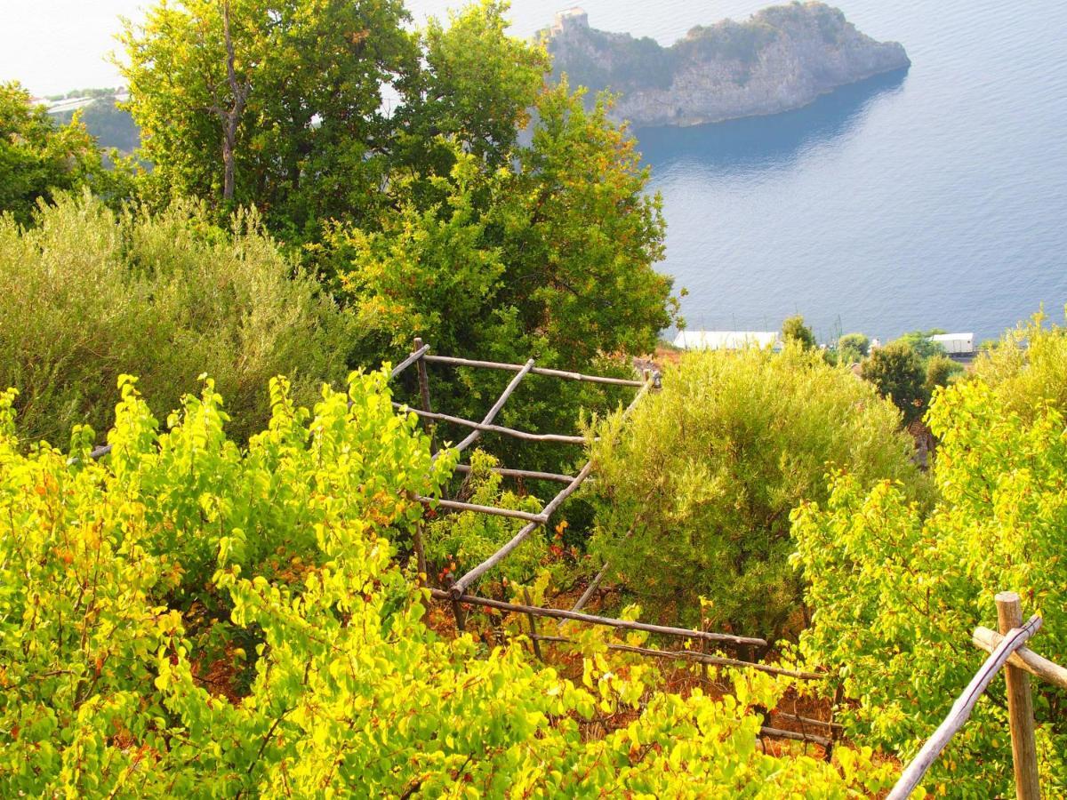 Apartmán Giardino Sul Mare Amalfi Exteriér fotografie