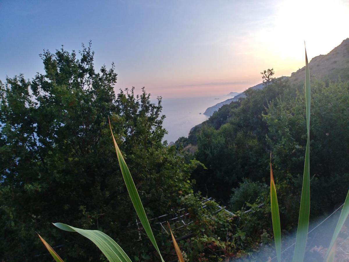 Apartmán Giardino Sul Mare Amalfi Exteriér fotografie