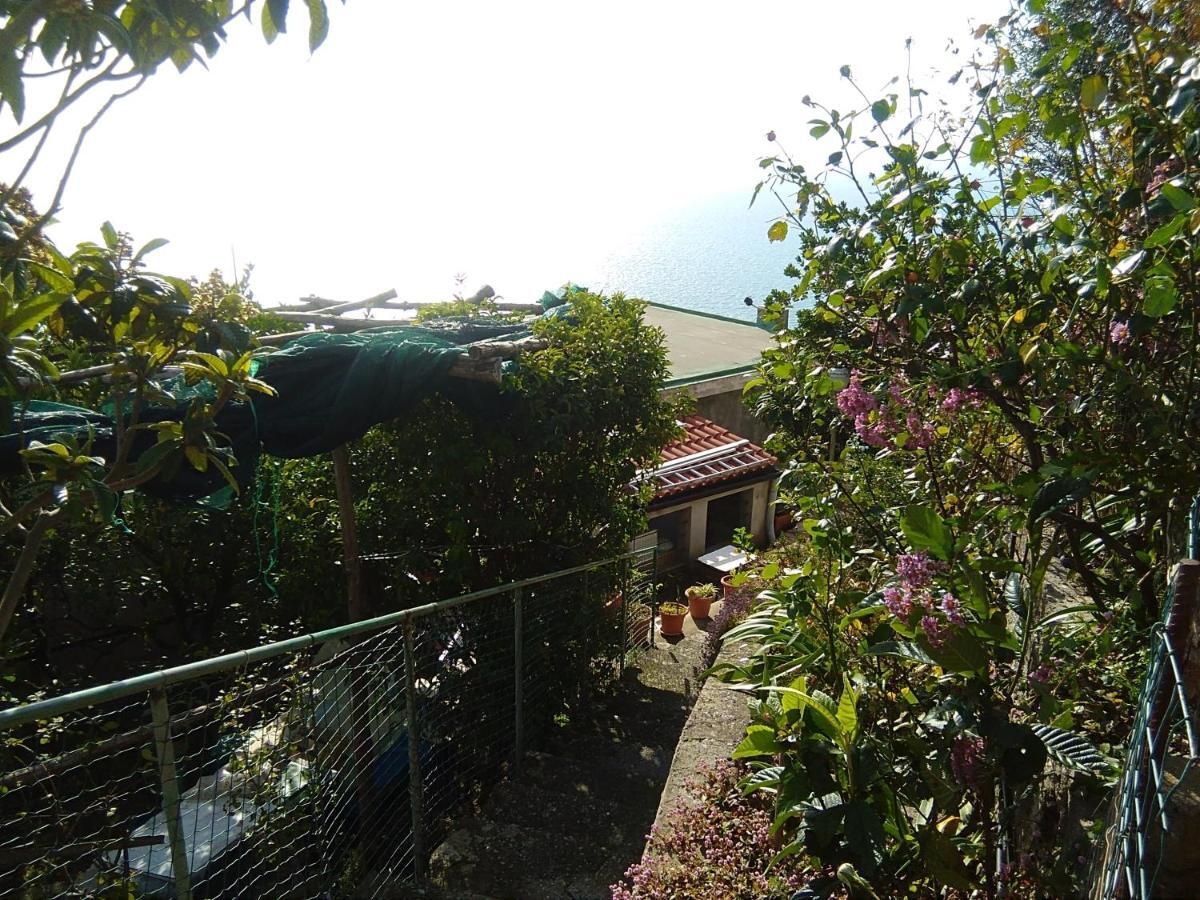 Apartmán Giardino Sul Mare Amalfi Exteriér fotografie